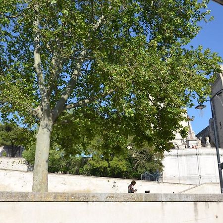 Apartamento Face Au Palais Des Papes Aviñón Exterior foto